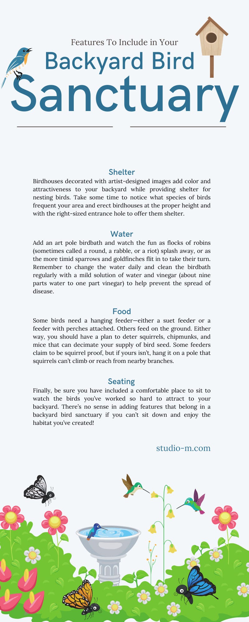 Backyard Bird Sanctuary Infographic