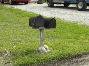 short mailbox The height of the mailbox should be 42 inches from the street to the bottom of the mailbox. Looks like this one falls a little short!